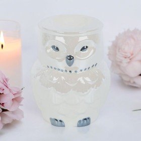Bruleur a Fondant - Forme Hibou Irisé
