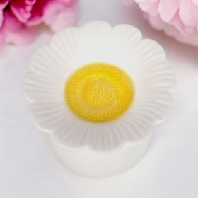 Bruleur a Fondant - Forme Marguerite